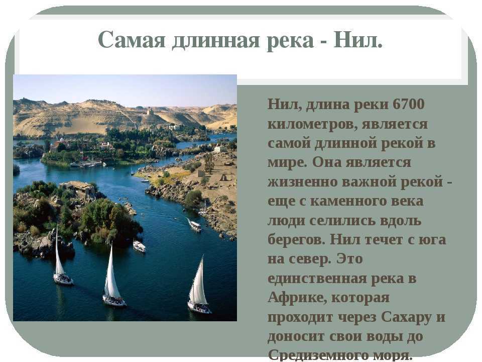 Нил сорский