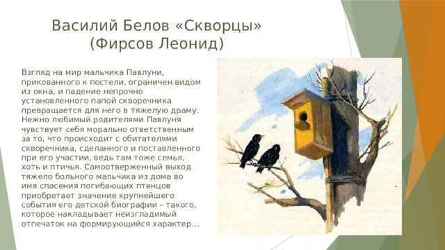 Составить план рассказа Скворцы Куприна можно используя разные варианты: краткий, детальный, цитатный Озаглавить части произведения