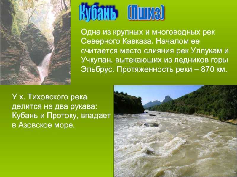 🚩 рыбы пресных водоемов, информация об их питании и образе жизни