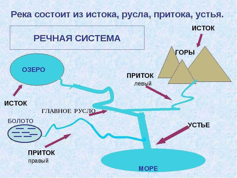 Великая река волга: куда впадает, географическое положение, природа и хозяйственное назначение