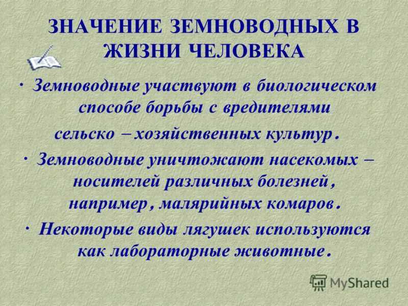 Значение земноводных в природе 8 класс. Значение земноводных. Значение земноводных в природе. Значение земноводных в жизни человека. Значение земноводных в природе и жизни человека.