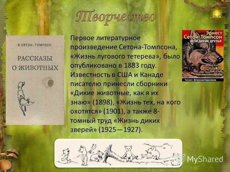 Читать чинк - сетон-томпсон эрнест - страница 1 - читать онлайн