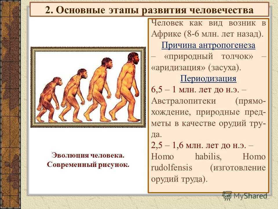 Начальный период развития человека картинка