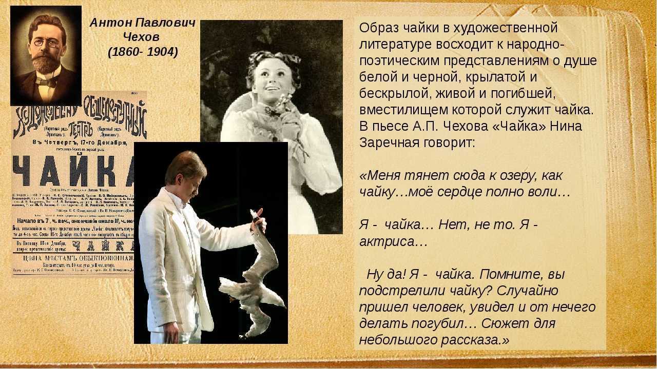 "чайка" - краткое содержание пьесы антона павловича чехова