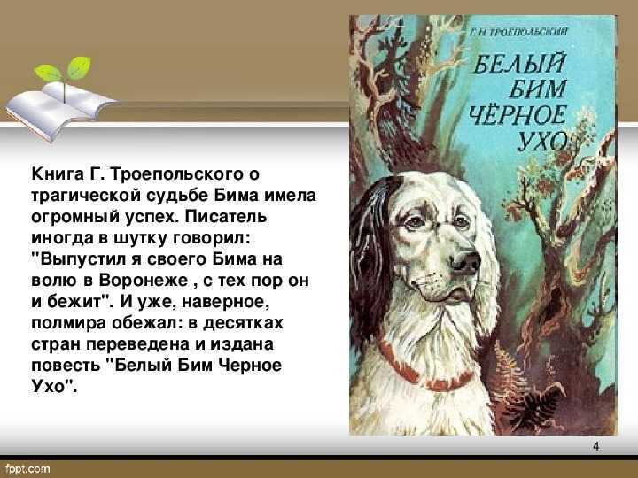 Читать троепольский белый бим черное ухо краткое содержание