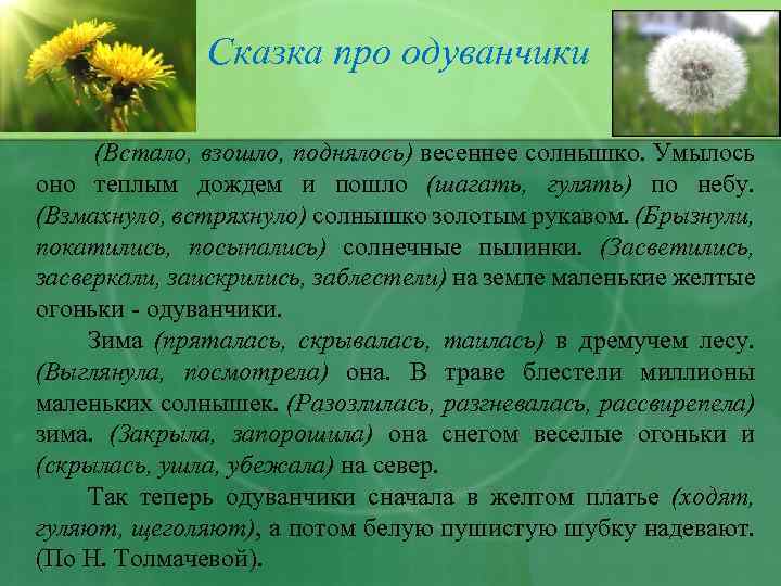 Проект про одуванчик 3 класс