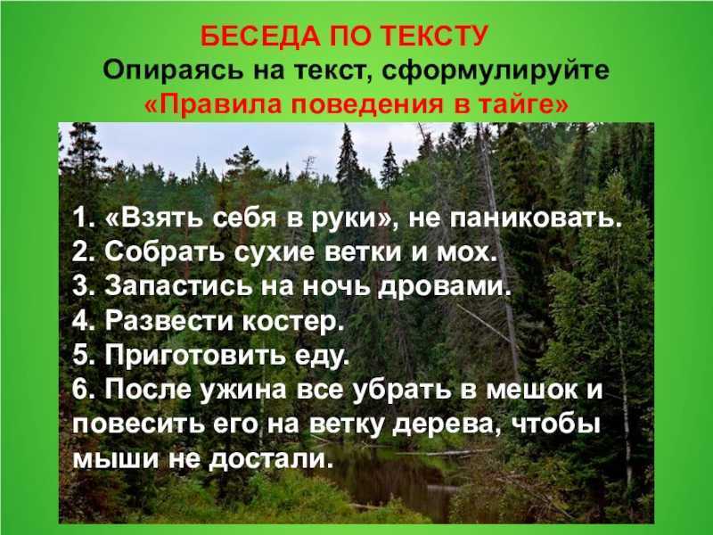 План выживания в тайге по рассказу васюткино озеро