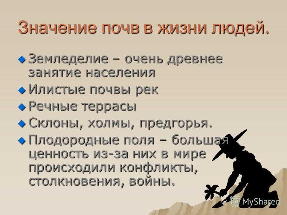 Какого значение почвы. Значение почвы в природе.