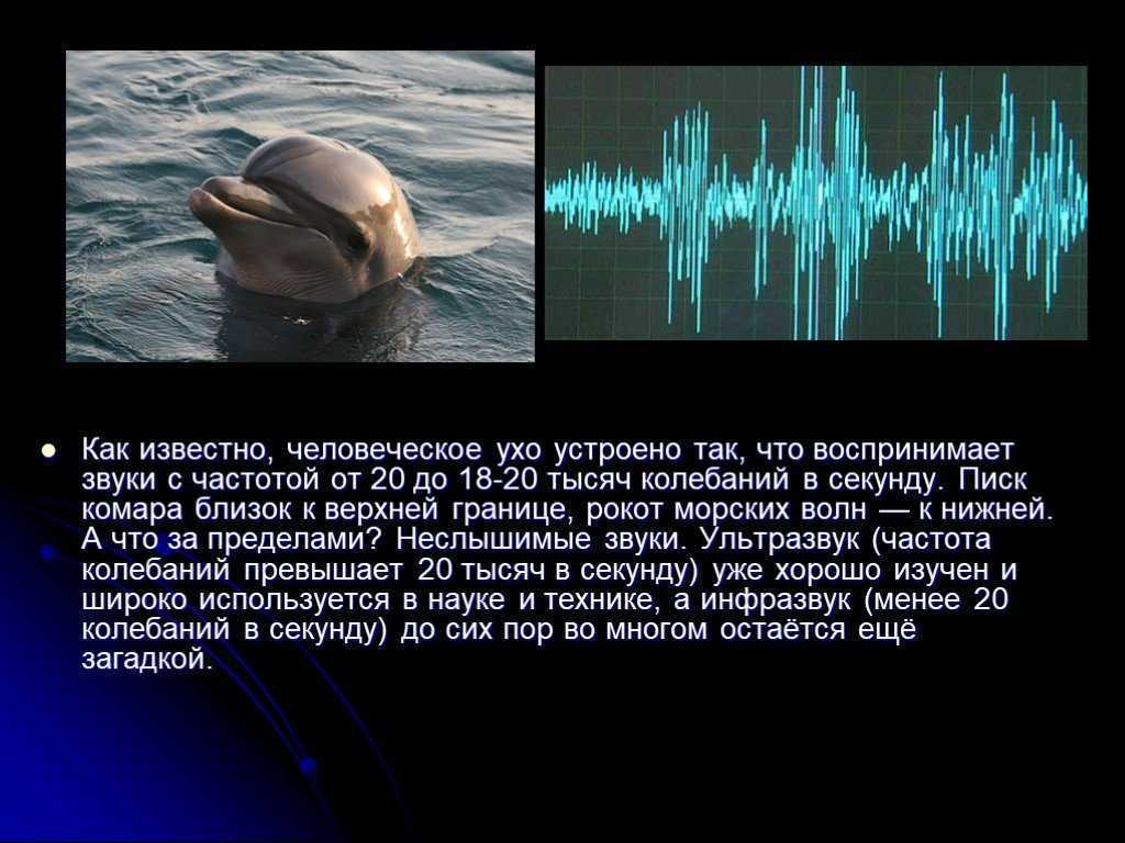 Презентация на тему инфразвук. влияние инфразвука на организм человека. защита от инфразвука