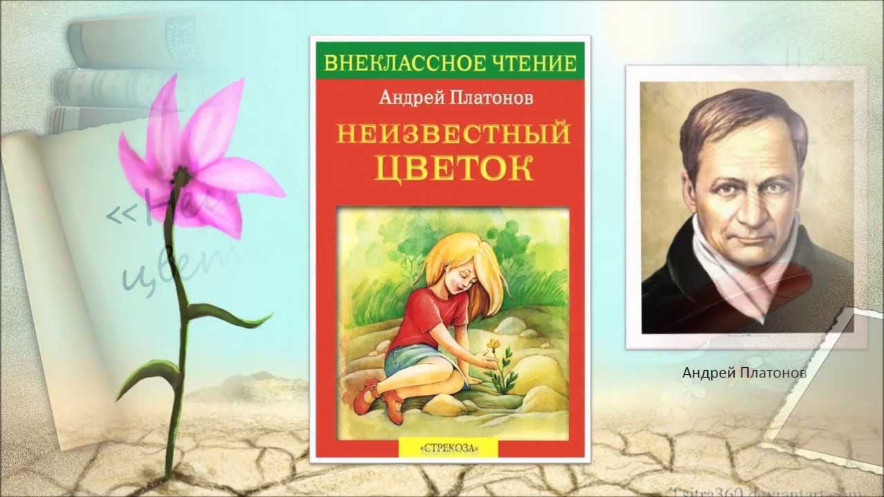 «неизвестный цветок» краткое содержание для читательского дневника по рассказу платонова (6 класс) – отзыв, главная мысль, сюжет