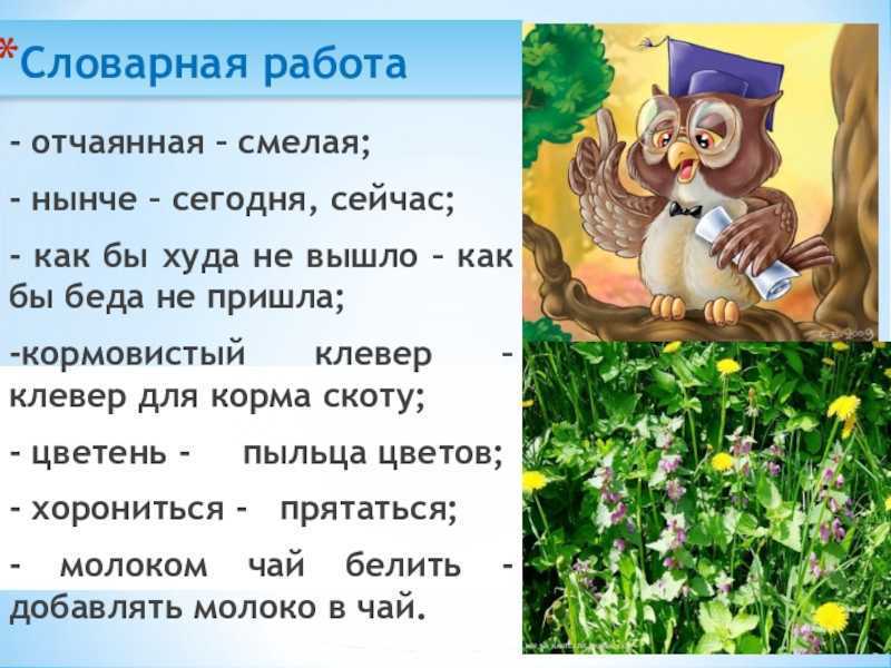 Сова бианки картинки