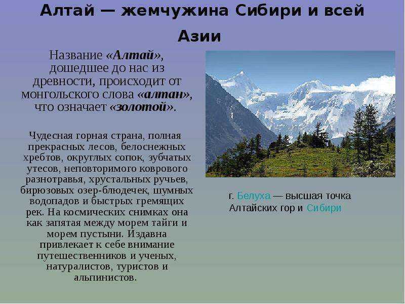 Особенности природы и растительного мира алтайского края