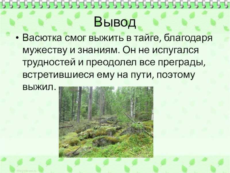 Рассказ как васютка выживал в лесу