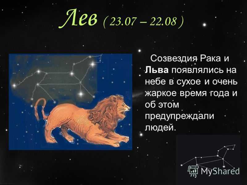 Сказка о созвездии льва. Созвездие Льва. Знак зодиака Лев. Зодиакальное Созвездие Лев. Созвездия знаков зодиака Лев.