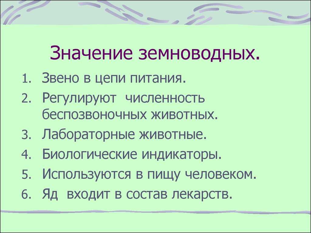 Значение амфибий в природе и жизни человека