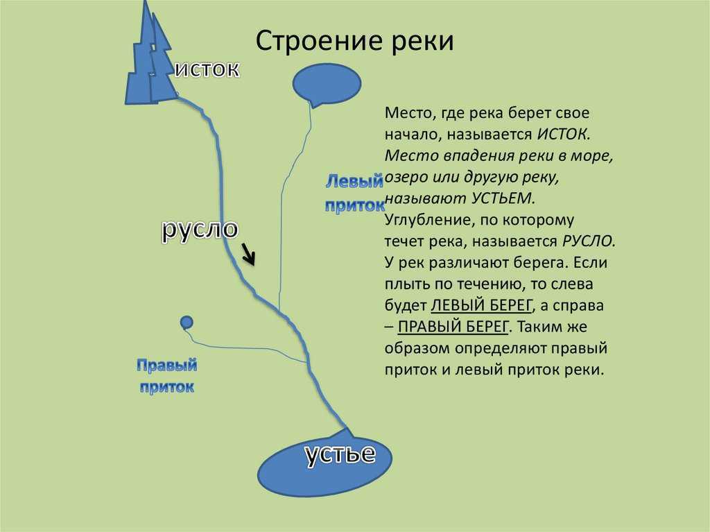 Исток приток устье схема