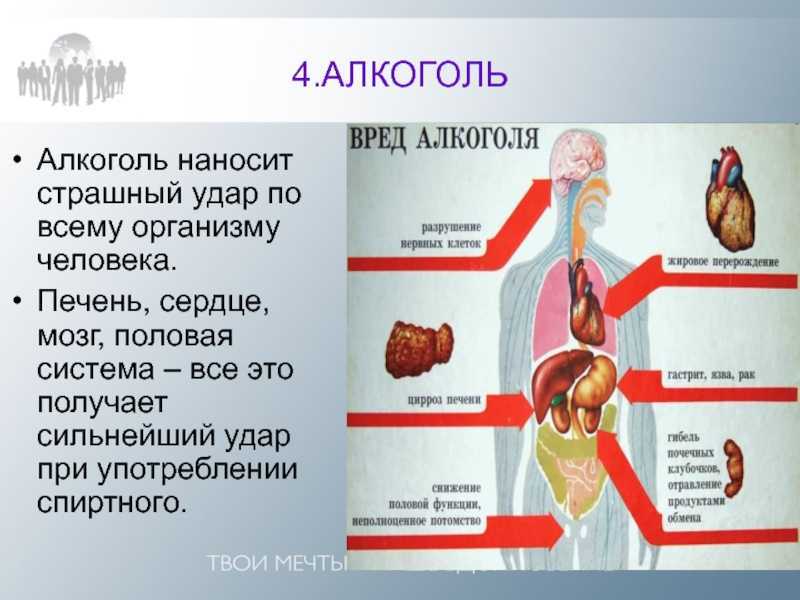 Картинки о вреде алкоголя на организм человека