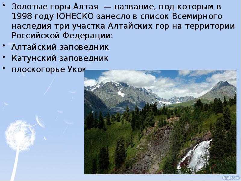 Презентация по окружающему миру алтайский край  доклад, проект
