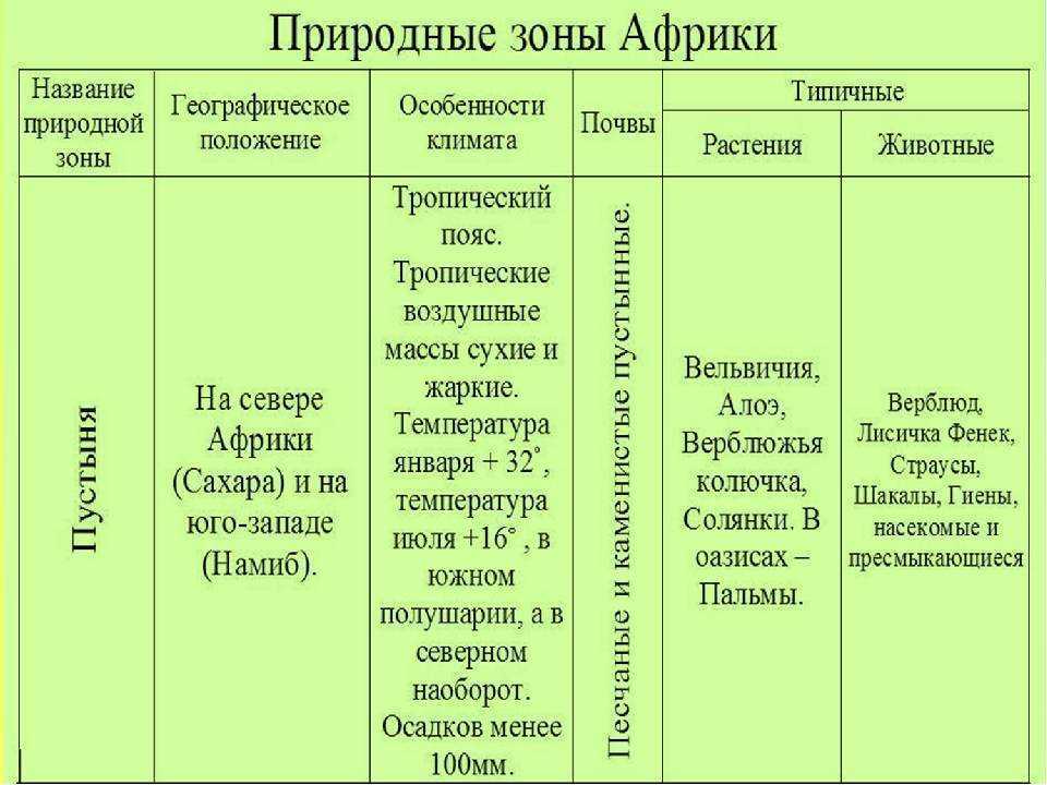 План характеристики степи