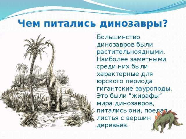 Интересные факты о динозаврах: образ жизни, почему вымерли | интересный сайт