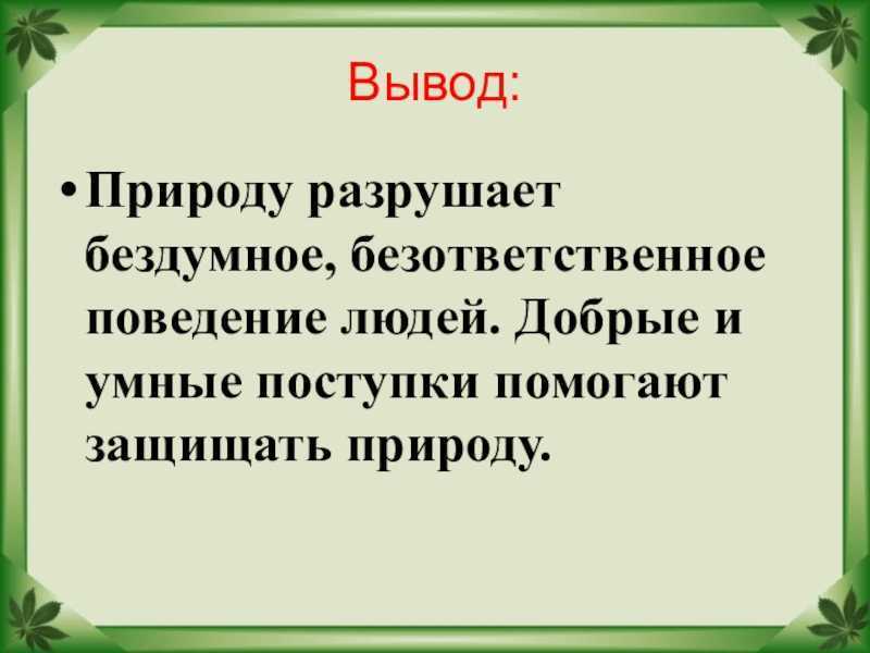 Гринпис — лесной форум, россия, портал, новости, киото, карта, день рождения, символ, пожары - 24сми