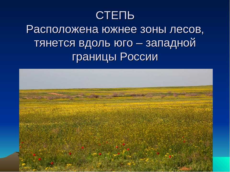 В какой природной зоне ответ. Природные зоны России степь. Степь природная зона 4 класс. Зона степей 4 класс окружающий. Проект степь.