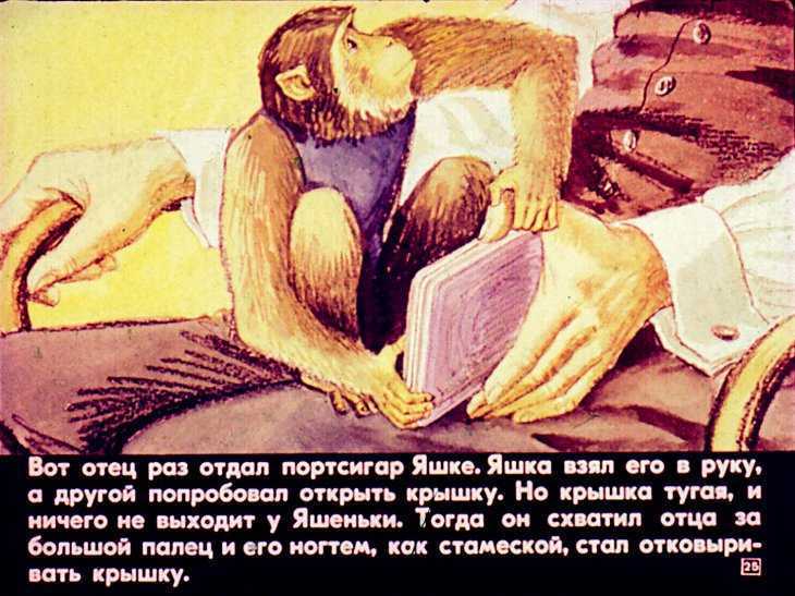 Про обезьянку — краткое содержание рассказа житков