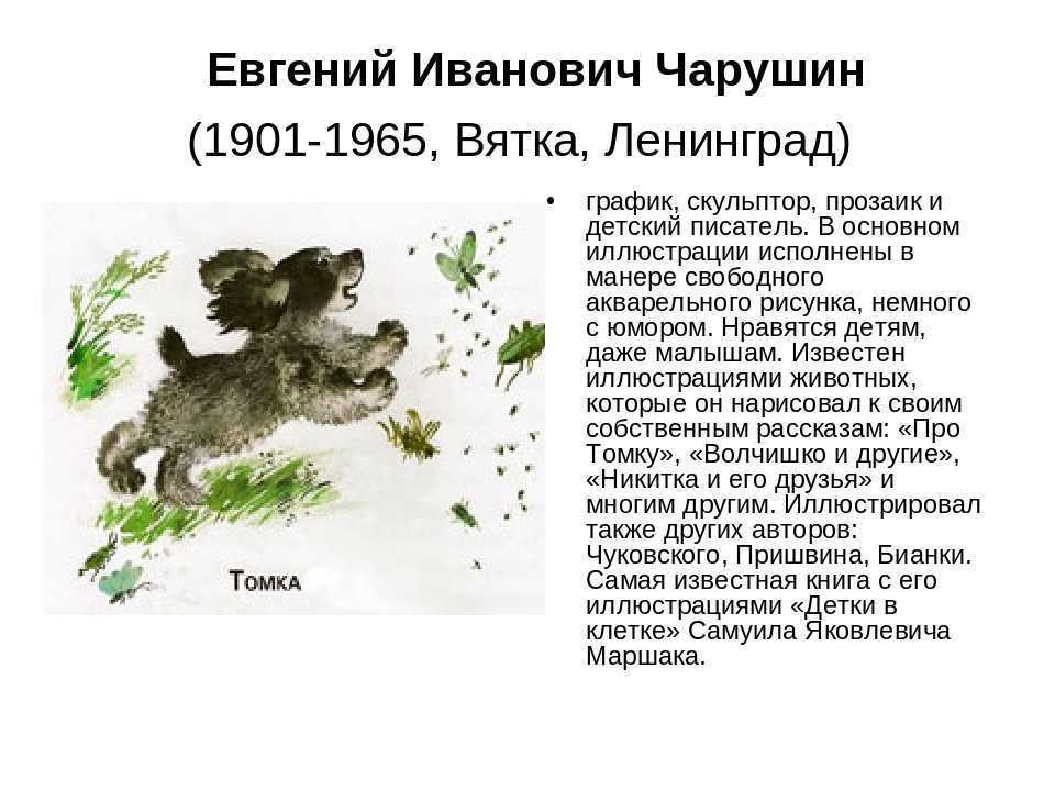 Произведения о животных 4 класс литературное чтение. Произведения е Чарушина для 4 класса.