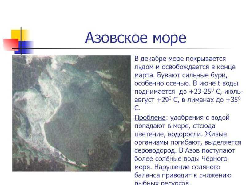 Азовское море белое море. Особенности Азовского моря. Азовское море презентация. Азовское море описание. Особенности природы Азовского моря.