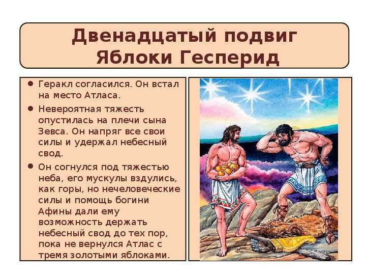 Рисунок подвига геракла яблоки гесперид