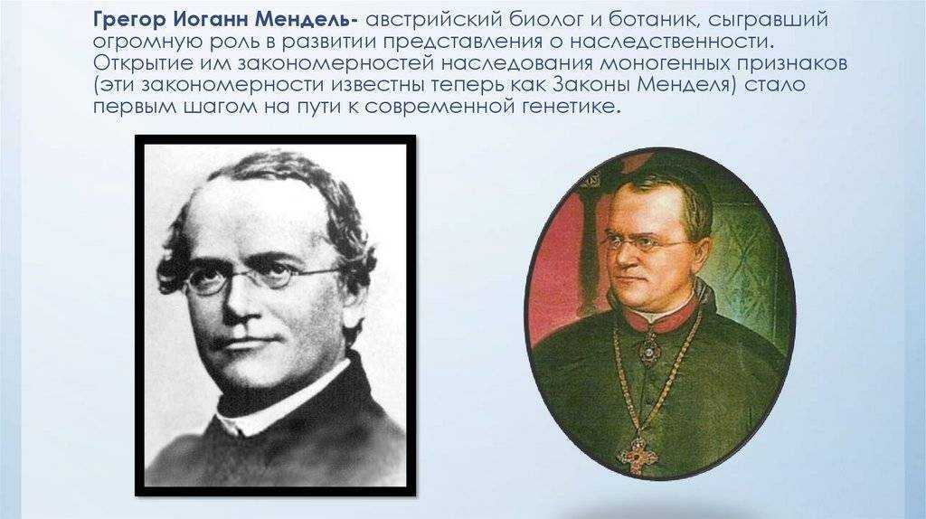 Создатель генетики. Грегор Иоганн Мендель(1822 – 1884). Биолог Грегор Мендель. Отец генетики Грегор Иоганн Мендель. Австрийский Монарх Грегер Мендел.