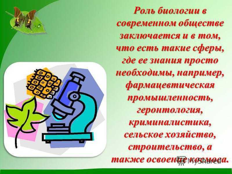 Роль биологии в современном мире. Роль биологии в жизни общества. Роль биологии в жизни современного человека. Практическая значимость биологии.