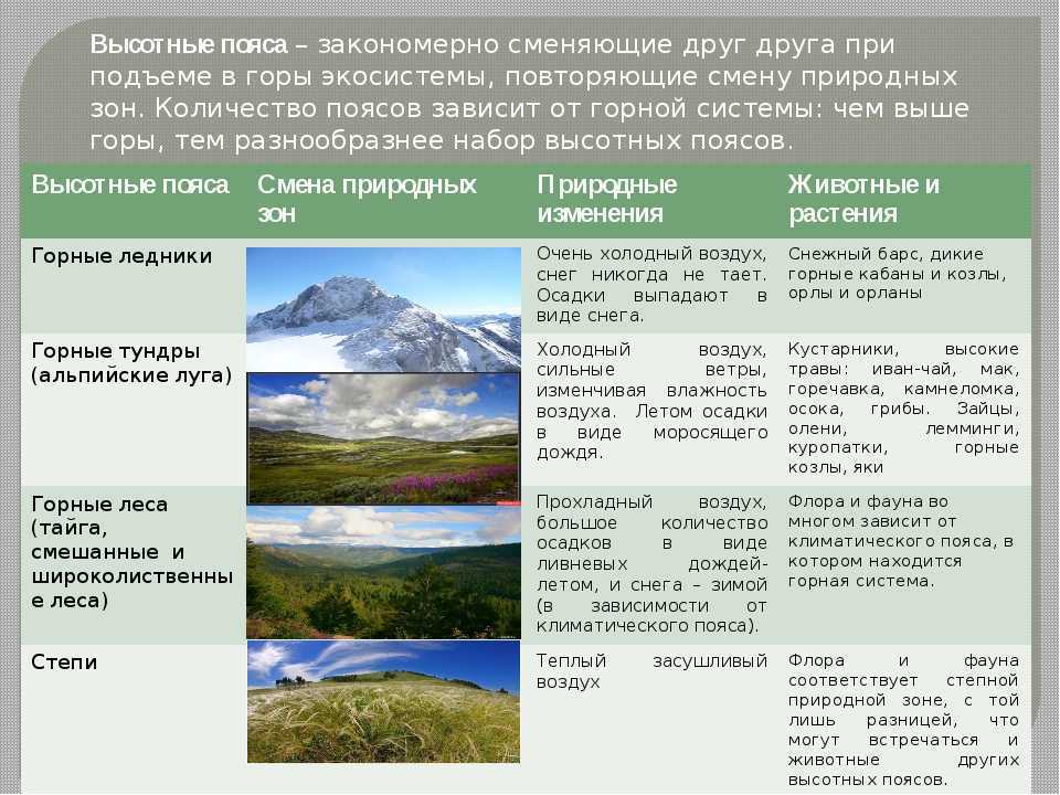 Особенности природы высокогорий 8 класс. Природные зоны ВЫСОТНОЙ поясности. Области ВЫСОТНОЙ поясности климат. Климат области ВЫСОТНОЙ поясности в России. Области ВЫСОТНОЙ поясности климат растительность.