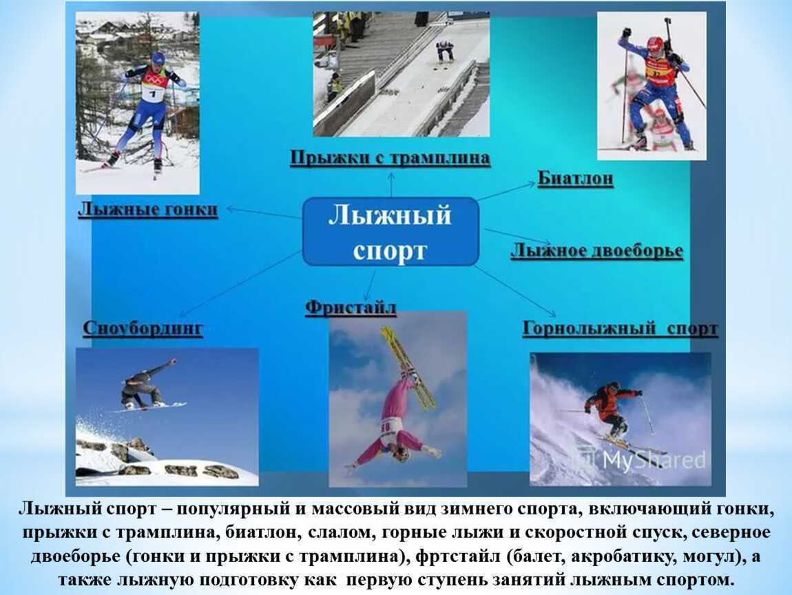 Виды лыжного спорта