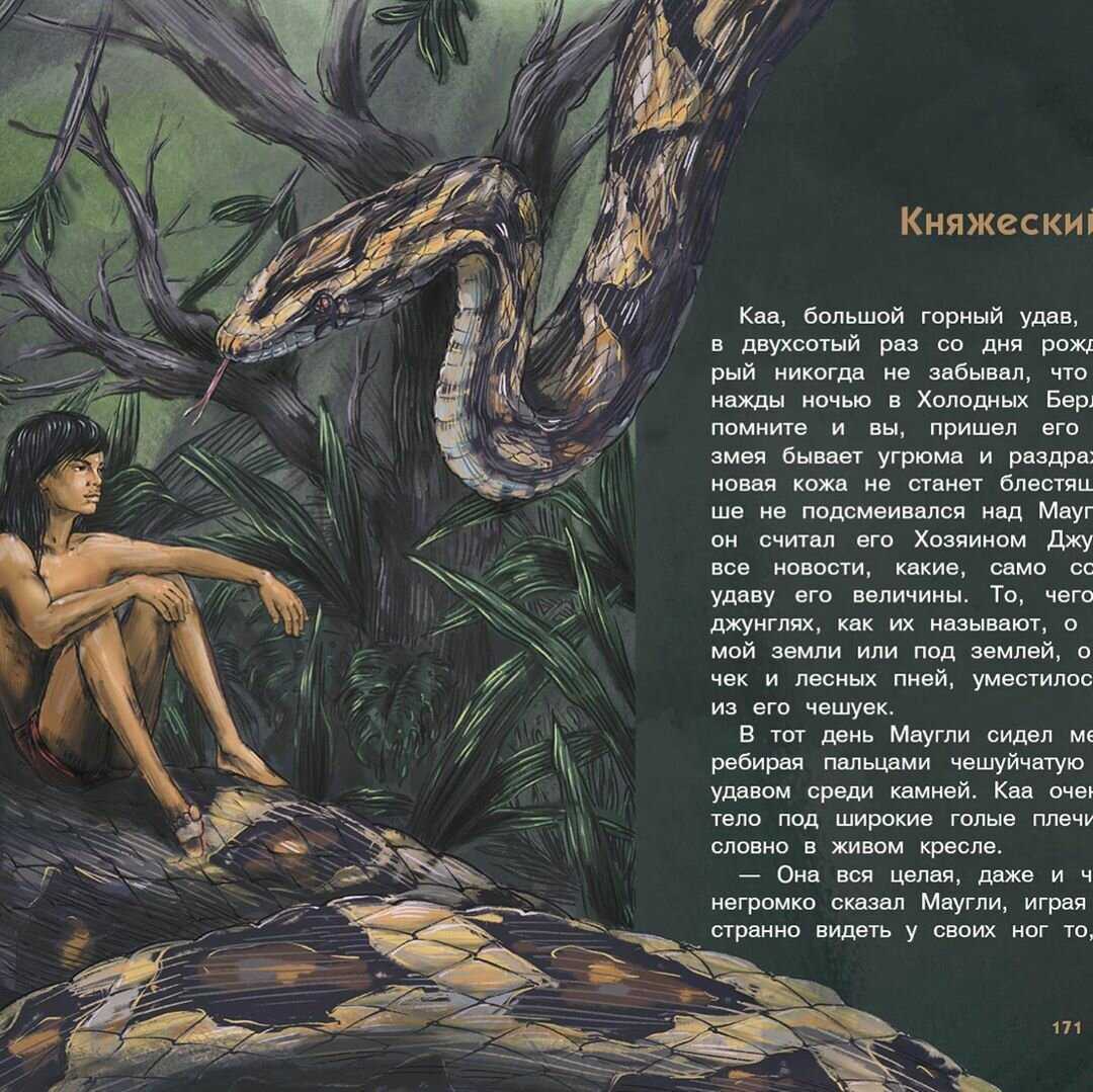Краткое содержание киплинг книга джунглей за 2 минуты пересказ сюжета