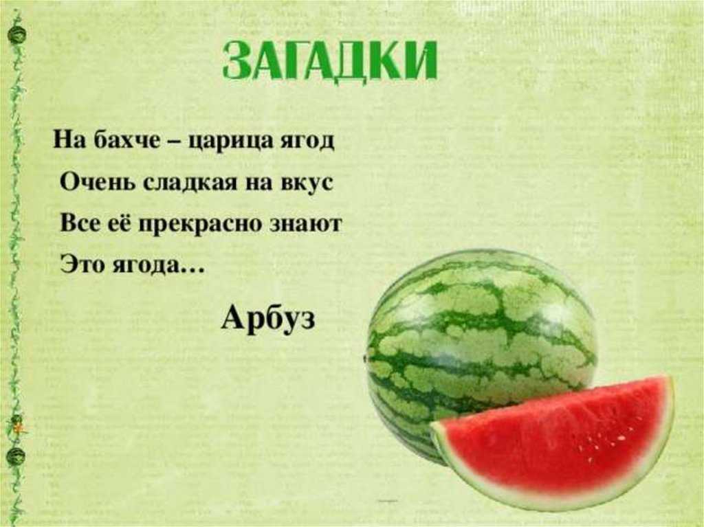 Проект про арбуз