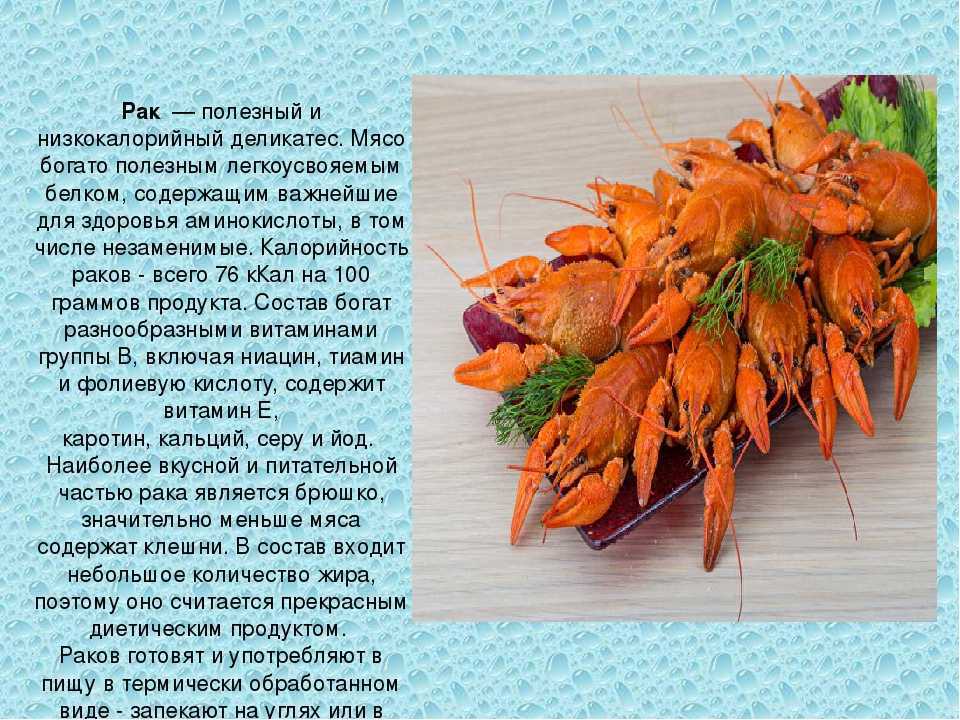 Польза от раков в природе