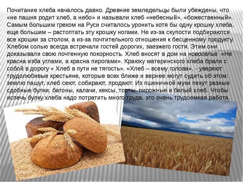 Сочинение хлеб всему голова (по пословице про хлеб)