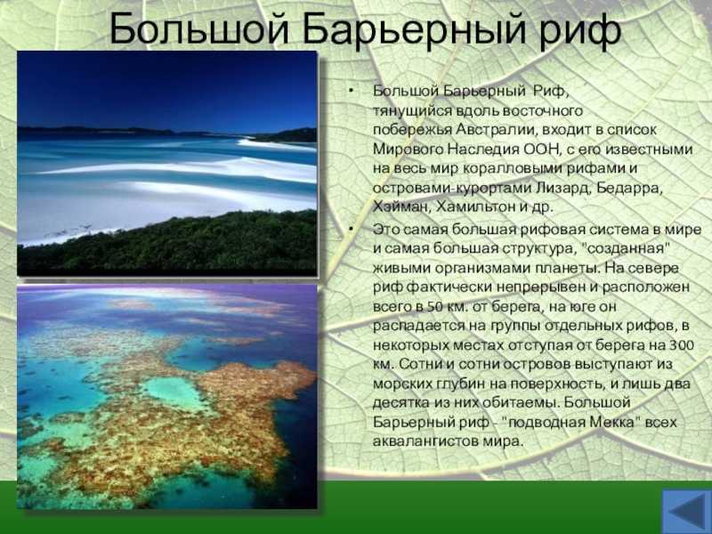 Большой барьерный риф (австралия). информация для туристов