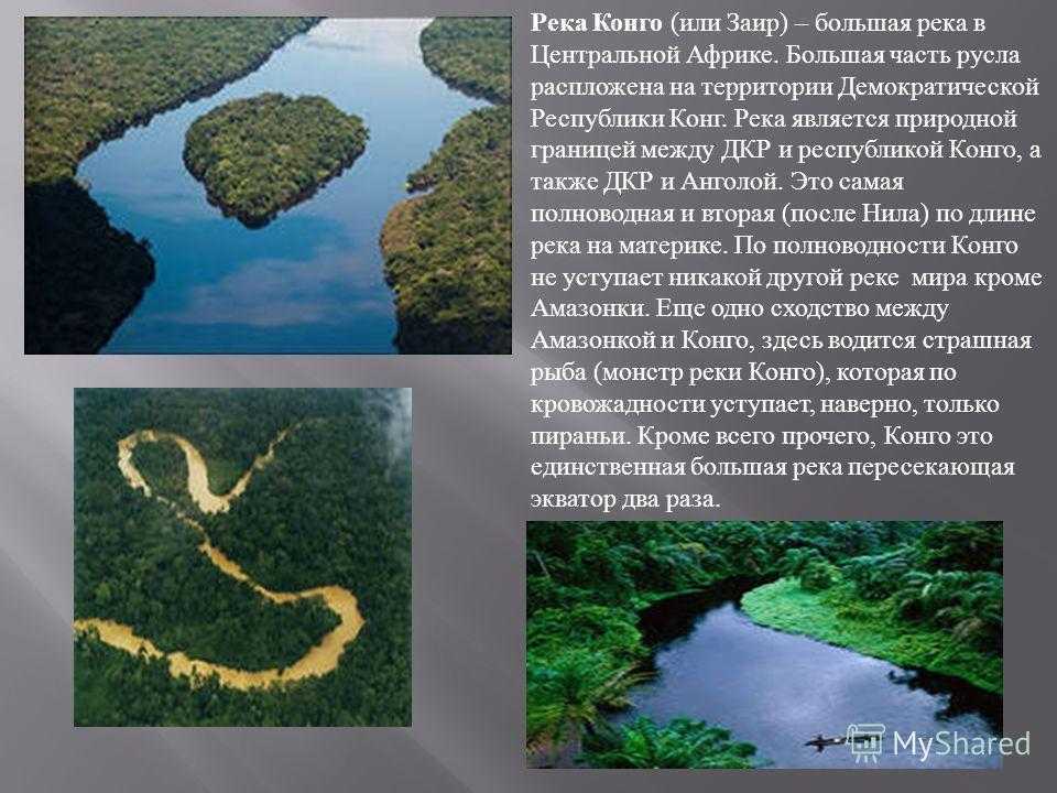 Самая полноводная река материка африки. Сообщение о реке Конго кратко. Река Конго реки Демократической Республики Конго. Бассейн реки Конго. Конго Заир река.