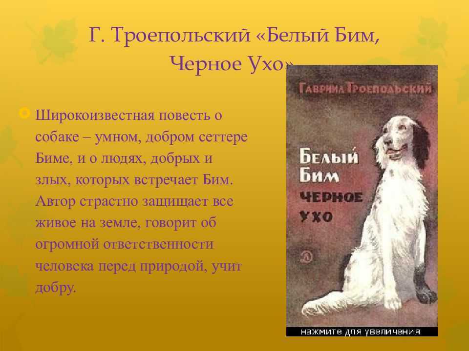 Чему учит белый бим. Краткий пересказ белый Бим черное ухо. Белый Бим чёрное ухо краткое содержание. Собаки в литературных произведениях. Троепольский белый Бим черное ухо содержание.