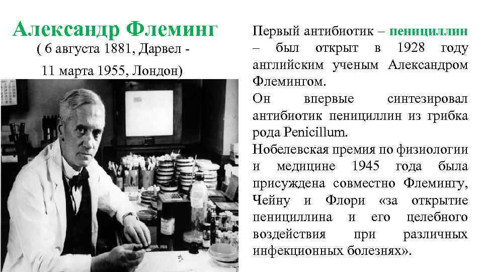 Биография александра флеминга
