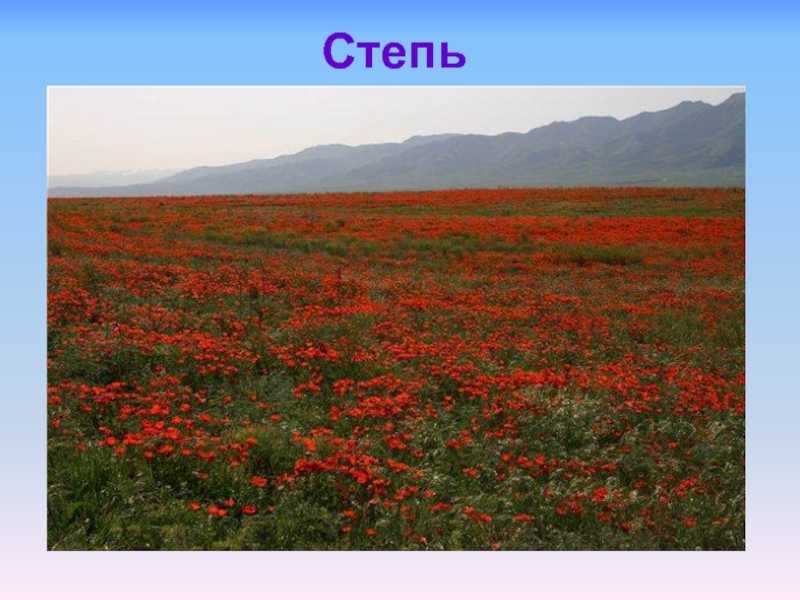Природные зоны