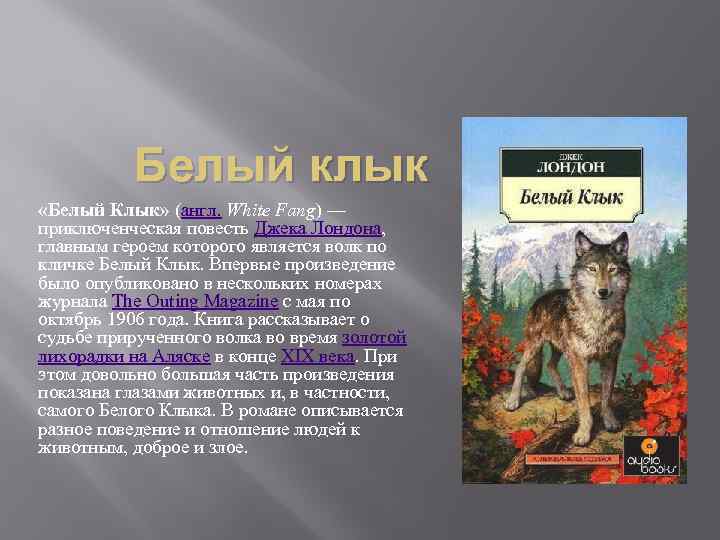 Презентация книги белый клык