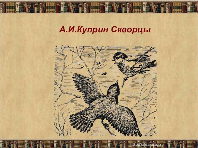 Рисунок к произведению скворцы