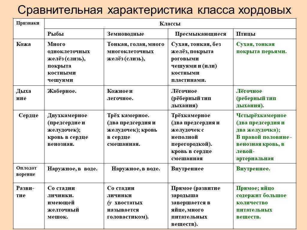 Ответы на контрольные вопросы по биологии глава №7 8 класс - класс млекопитающие, или звери