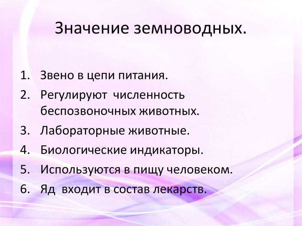 Класс земноводные (амфибии)