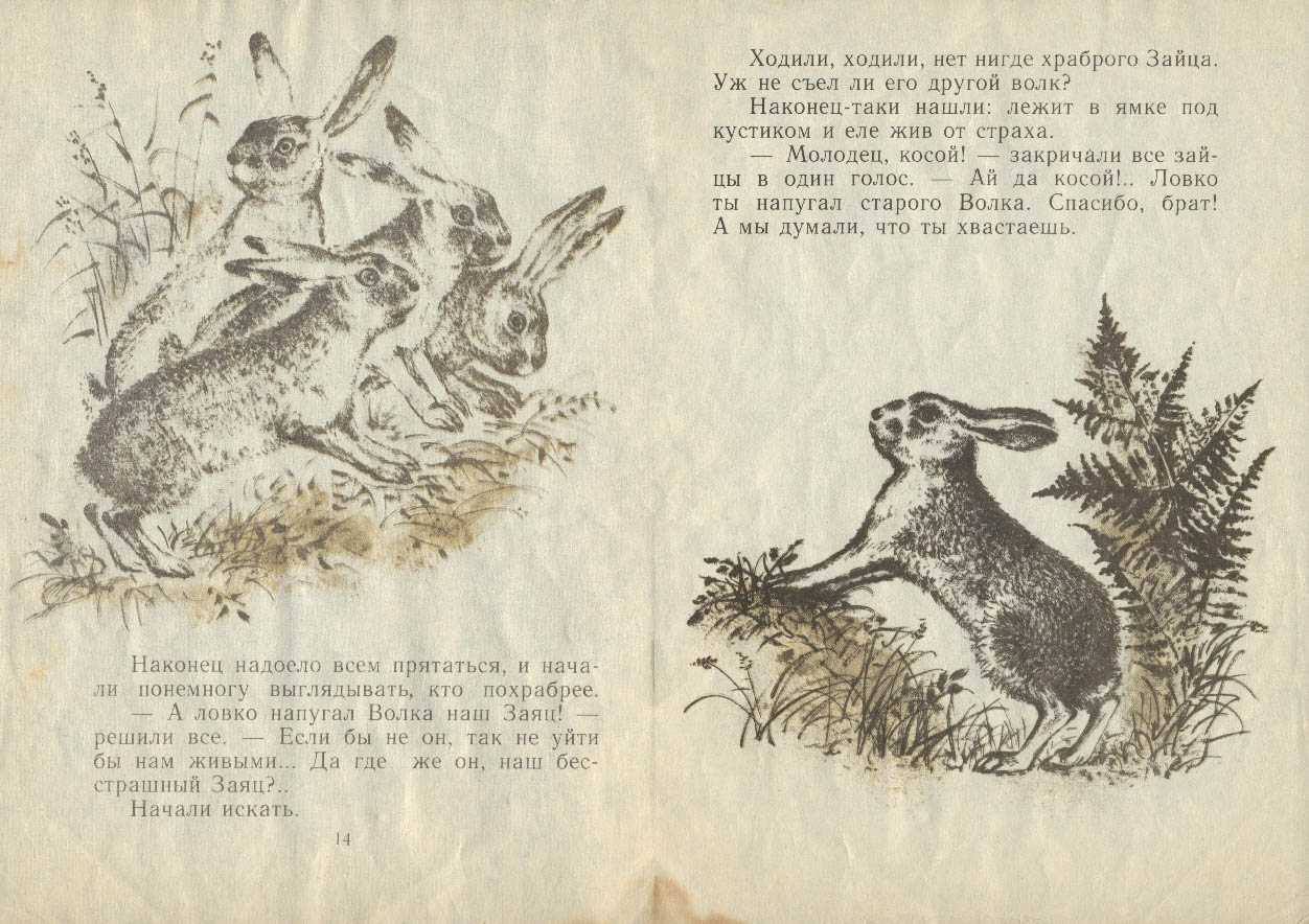 Храбрый заяц читать сказку