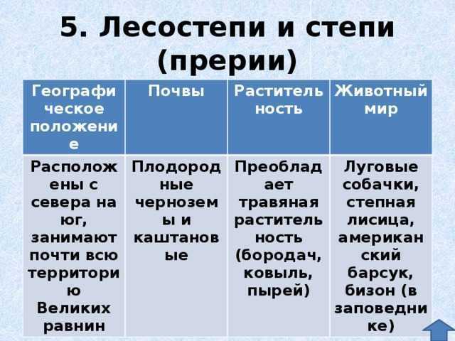 Зона степей
