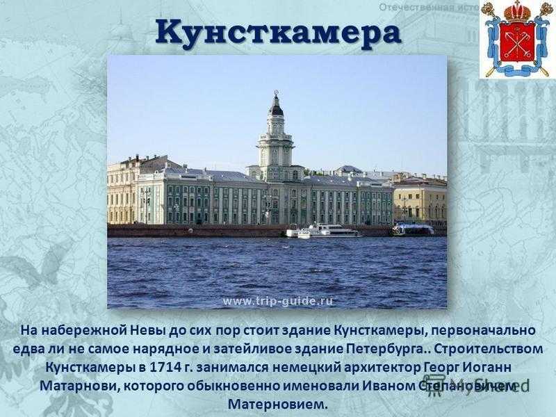 Кунсткамера при петре i — первый музей россии